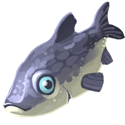 Raw Minnow