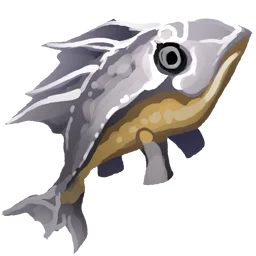 Raw Tuna