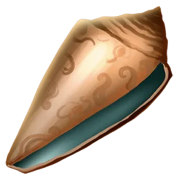 Sea Shell