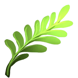 Seagrass