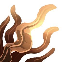 Seaweed