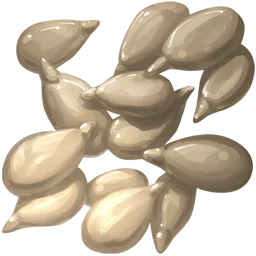 Sunflower Seed