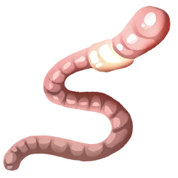 Worms